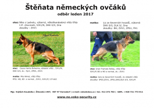 nabidka stenat